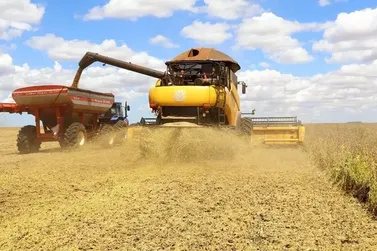 Safra de soja em Mato Grosso do Sul atinge 27,7% da colheita