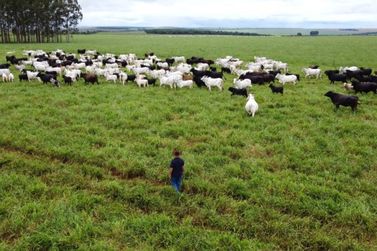 Agro de Mato Grosso do Sul lidera crescimento com incentivo e moderniza&ccedil;&atilde;o