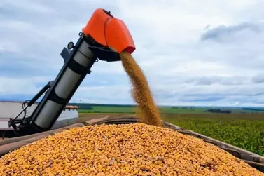 Colheita da soja em MS alcan&ccedil;a 82% da &aacute;rea e plantio do milho chega a 84,6%