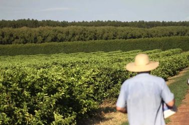 Etanol pode virar sa&iacute;da para Agro de MS diante da crise no Estreito de Ormuz