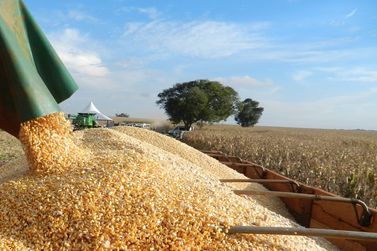 Milho dispara nas exporta&ccedil;&otilde;es de MS com 154,3% de crescimento em 2026
