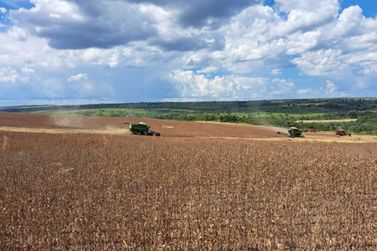 Produtividade da soja &eacute; revisada de 52,8 para 61,7 sacas por hectare em MS