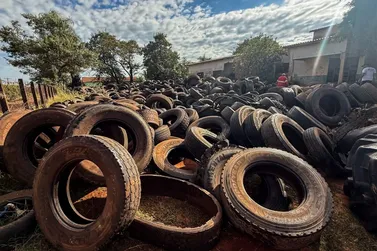 Caarap&oacute; faz for&ccedil;a-tarefa para descarte de pneus e combate &agrave; dengue