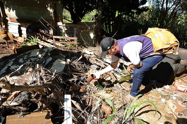 Cidade de MS confirma 3&ordf; morte por chikungunya e estado soma 16 &oacute;bitos