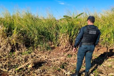 Corpo em avan&ccedil;ado estado de decomposi&ccedil;&atilde;o &eacute; encontrado entre pr&oacute;ximo a Dourados