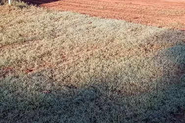 Dia come&ccedil;a com frio de 0&deg;C e geada no sul de MS; Caarap&oacute; chegou a 7,7&ordm;C