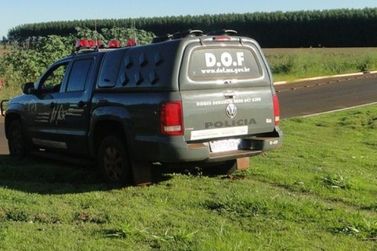 Jovem &eacute; presa com mais de 4 kg de haxixe marroquino em &ocirc;nibus em Caarap&oacute;