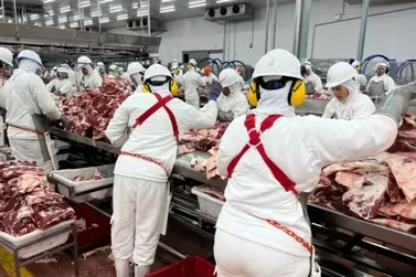 MS ocupa 4&ordm; lugar no crescimento da ind&uacute;stria do pa&iacute;s em 2026, mostra IBGE