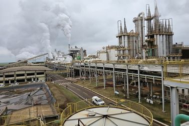 Produ&ccedil;&atilde;o de etanol cresce 29,59% e coloca MS como 3&ordm; maior produtor do Pa&iacute;s