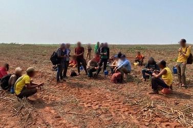 Senten&ccedil;as por explora&ccedil;&atilde;o de trabalhadores em fazenda de Iguatemi somam 56 anos