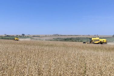 Recupera&ccedil;&atilde;o judicial no agro cresce 22% e MS soma 38 pedidos