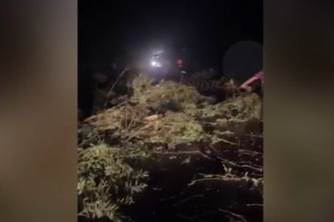 Temporal derruba galhos e interdita trecho da MS-156 de Amambai at&eacute; Tacuru