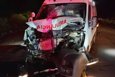 Motociclista morre ap&oacute;s ser atingido por ambul&acirc;ncia em rodovia de Terenos