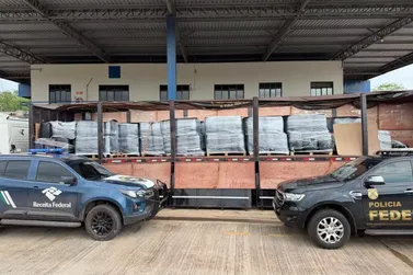 PF e Receita apreendem 17 toneladas de insumo para coca&iacute;na em MS