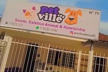 Pet Ville oferece mimos e hotel exclusivo para o seu animal de estimação