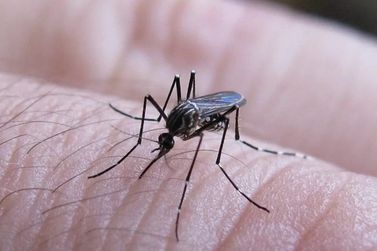 Cabreúva registra aumento de casos de dengue e mantém alerta na população
