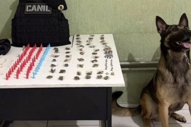 C&atilde;o da Guarda localiza drogas em bueiro na Rua Fran&ccedil;a