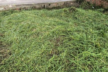 Terreno &agrave; venda - 250m&sup2; - Nova Cabre&uacute;va (Centro)