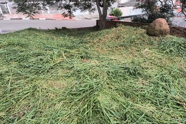 Terreno &agrave; venda - 250m&sup2; - Nova Cabre&uacute;va (Centro)