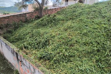 Terreno &agrave; venda - 250m&sup2; - Nova Cabre&uacute;va (Centro)