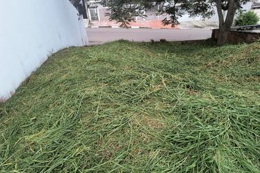 Terreno &agrave; venda - 250m&sup2; - Nova Cabre&uacute;va (Centro)