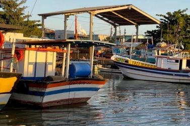 Prefeitura de SJB alerta para o período de defeso do camarão