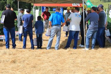 Produtores da região de Curitibanos participam do Dia de Campo Coocam