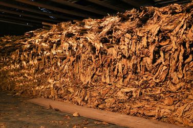 Pre&ccedil;o do tabaco volta &agrave; mesa, mas rodada termina sem consenso entre as partes