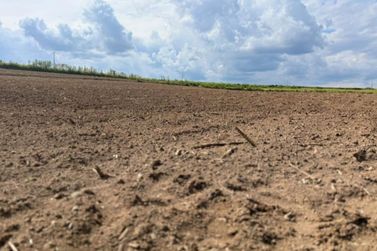 Programa subsidia an&aacute;lise de solo e calc&aacute;rio para agricultores em Canoinhas