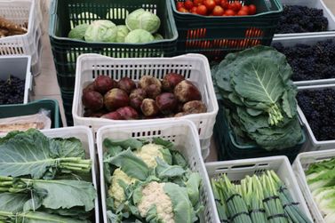 Canoinhas abre inscri&ccedil;&otilde;es para compra de alimentos da agricultura familiar