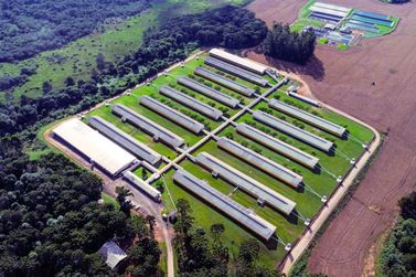 Projeto em Canoinhas garante R$ 72,5 milh&otilde;es do BNDES para inova&ccedil;&atilde;o na suinocultura