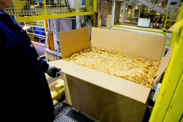 Setor do tabaco alerta para risco de perder US$ 100 milh&otilde;es com tarifa dos EUA