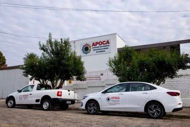APOCA: n&uacute;meros de 2025 revelam a dimens&atilde;o de um trabalho que transforma vidas