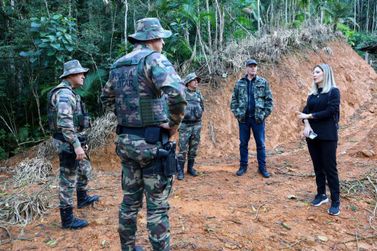 Opera&ccedil;&atilde;o identifica 381 hectares de desmatamento ilegal em Santa Catarina