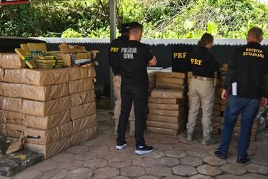 Quase 2,5 toneladas de maconha s&atilde;o encontradas em carga de repolho na BR-280