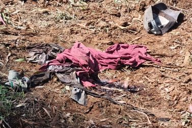 &Aacute;rvore cai sobre jovem de 18 anos e v&iacute;tima sofre parada card&iacute;aca em Matos Costa