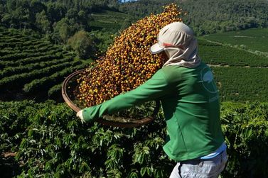 Caf&eacute;s da regi&atilde;o s&atilde;o premiados pelo governo em concurso de qualidade