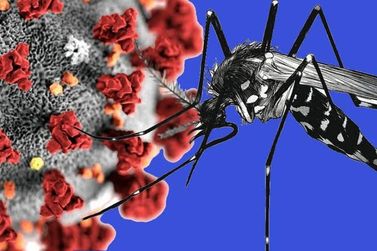 Casos de dengue e covid aumentam em Casa Branca