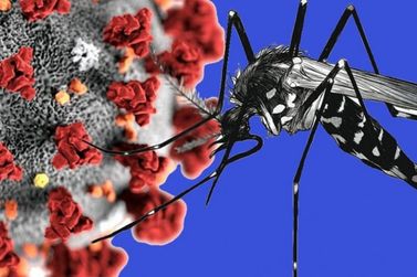 Itobi e Casa Branca atualizam casos de dengue e covid 