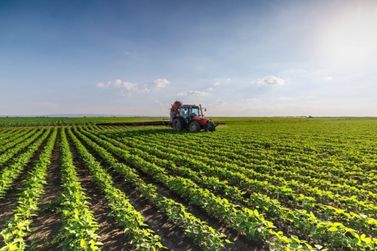 Oportunidades de trabalho no agroneg&oacute;cio s&atilde;o abertas em Casa Branca