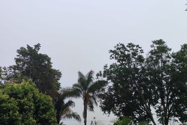 Semana come&ccedil;a com neblina e deve ter m&aacute;ximas de at&eacute; 24&deg;C em Casa Branca