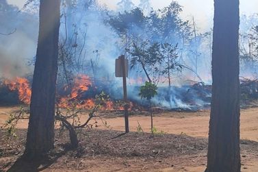 Clima seco coloca Casa Branca em alerta para queimadas