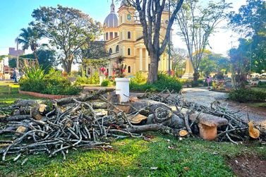 Agr&ocirc;nomo chama retirada de &aacute;rvores da Pra&ccedil;a da Matriz de &ldquo;erro gigantesco&rdquo;