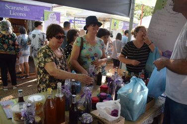 Interessados j&aacute; podem se inscrever para expor no Festival Gastron&ocirc;mico da Jabuticaba