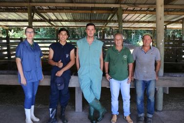 Programa+Pecuária Brasil encerra ano com três grupos de produtores beneficiados