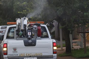 Governo Federal enviou inseticida ao PR para combate a dengue e chikungunya 