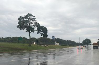Chuva volta a atingir o Paraná e estado tem alerta de temporal 