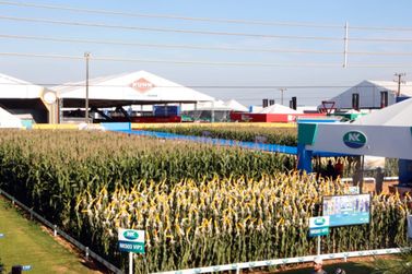 Show rural na agenda agro de 5 a 9 de fevereiro, em Cascavel 
