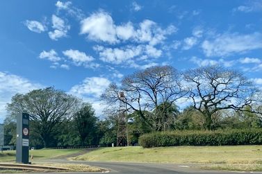 Tempo ensolarado e temperaturas amenas para C&eacute;u Azul durante o fim de semana 