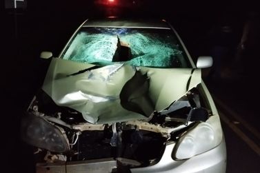 Atropelamento deixa v&iacute;tima fatal em Ramil&acirc;ndia